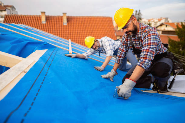 Best Roof Moss and Algae Removal  in Hopkinsville, KY